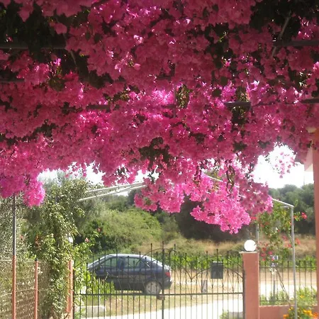 乐园公寓酒店 公寓式酒店 斯沃伦塔