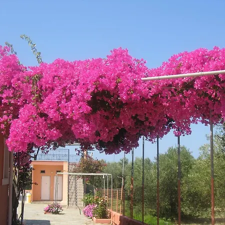 Aparthotel Paradise 2*